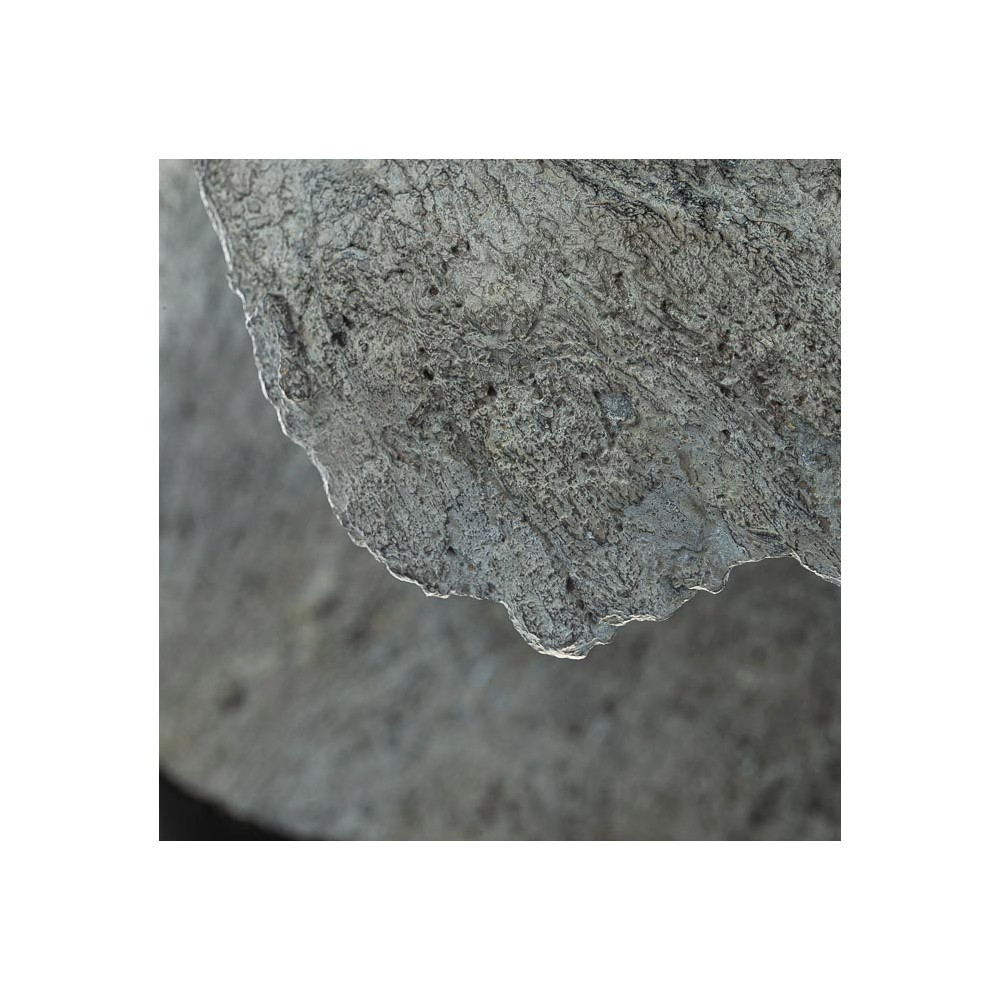 Détail 2 de la sculpture bronze Surf aux Malouines, statue animalière bronze manchot de Sophie Verger