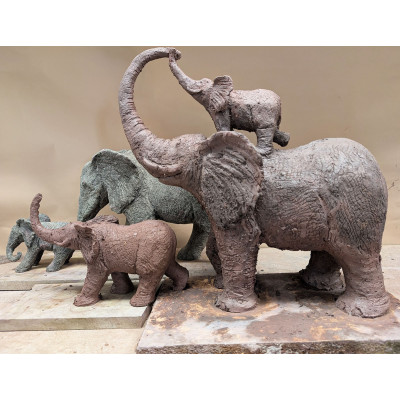 La Grande Famille (Terre Originale)