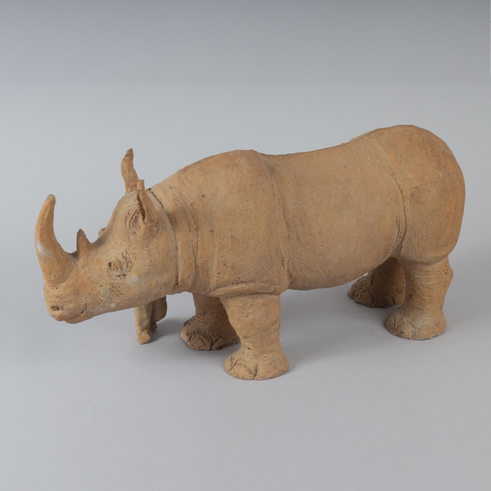 Un rhinocéros d'exception (terre originale)