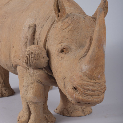 An exceptional rhinoceros (the original clays) 2