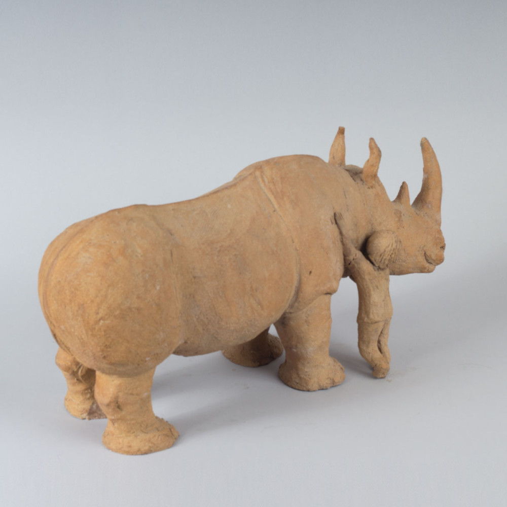 Un rhinocéros d'exception (terre originale)