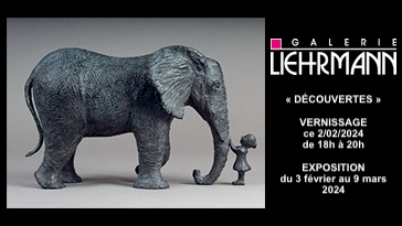 Invitation à l'Expo DECOUVERTES à Liège, Galerie Liehrmann