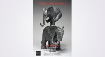 Galerie Œil du Prince - Biarritz - En pleine forme !